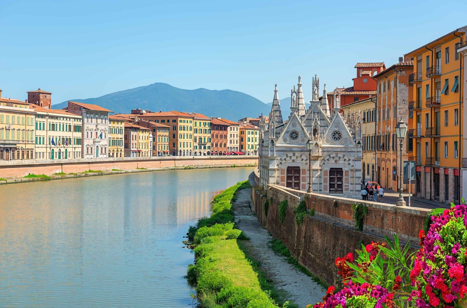 where can i buy weed in Pisa