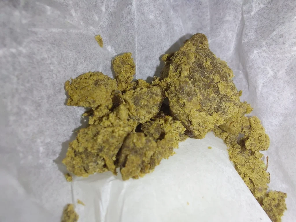 where can i get weed in Osijek