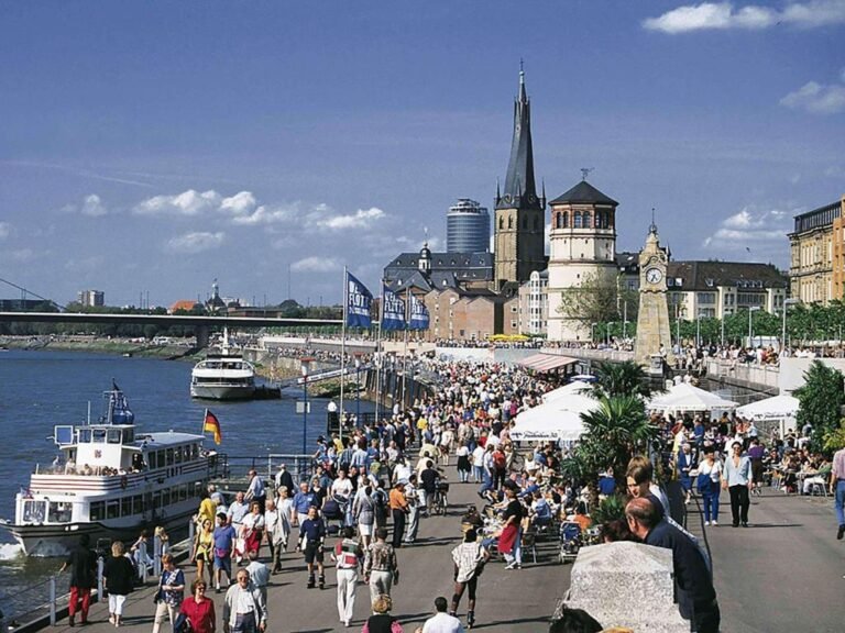 wo kann man in Düsseldorf Gras kaufen