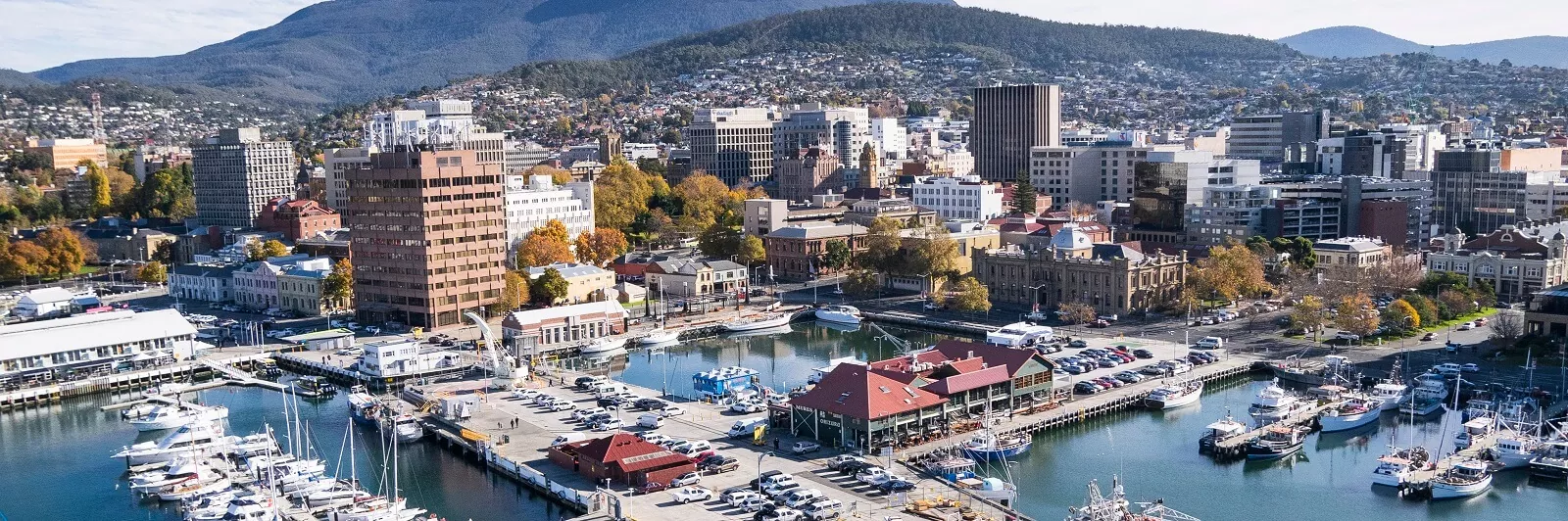 Where to Find Weed in Tasmania