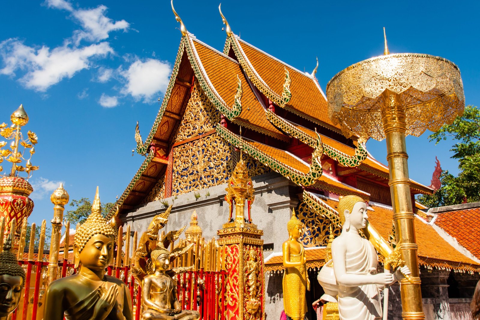 Where can i buy weed in Chiang Mai