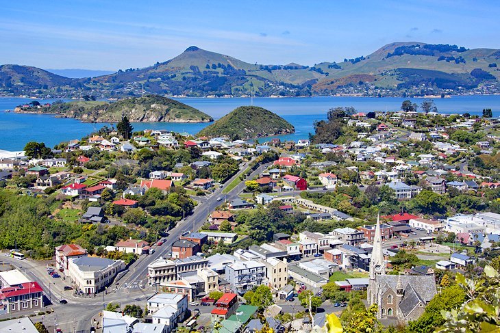 Where Can I Find Weed in Dunedin