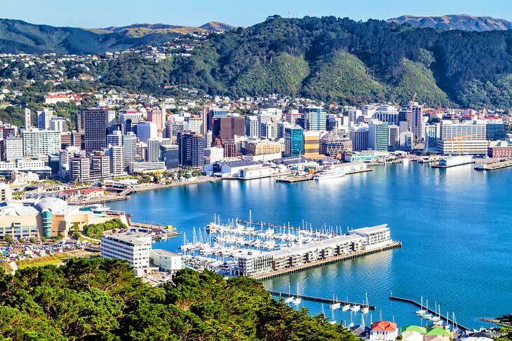 How to Find Weed in Wellington