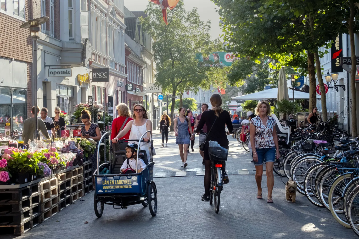 Where can i buy weed in Odense